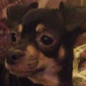 Meet your Posher, Richard